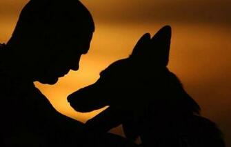 Dog Friend Circ The Shape Silhouette Wallpaper Photos Pictures
