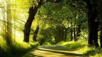 Real Nature Pictures