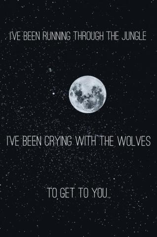 I Love The Song If You Don T Know What It Is Then S Wolves By