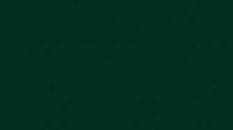 Green Solid Color Background And The Below