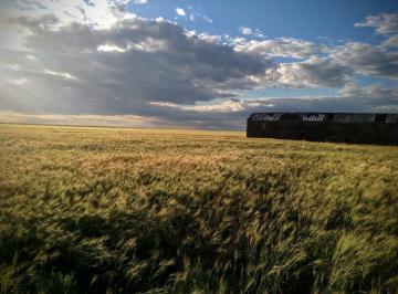 Prairies 4k Wallpaper For Your Desktop Or Mobile Screen And