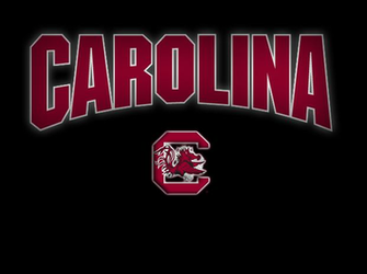 South Carolina Gamecocks Usc Sec Black Garnet Cocks