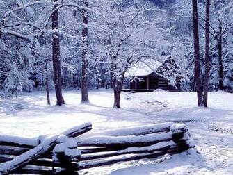 Winter Scenery