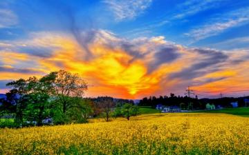 Amazing Things In The World Photos Off Topic