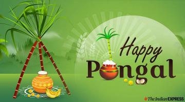 Happy Pongal Wishes Wallpaper Teahub Io