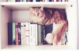 Love Books By Jojobatanesi
