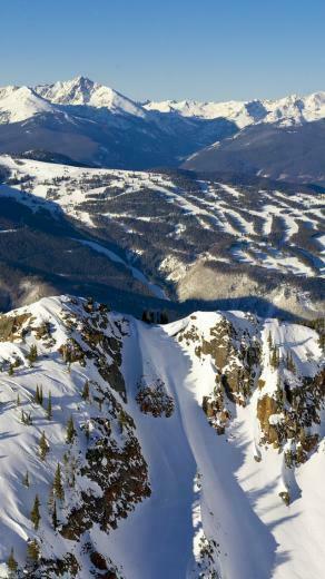 Vail Flowers In Colorado Wallpaper