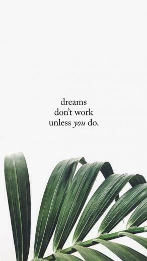 Monthly Motto February With Image Plants iPhone Background