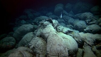 Ocean Floor Wallpaper Tera