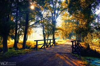 My Way Wallpaper HD Pw