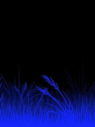 Kentucky Blue Grass Wallpaper