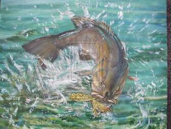 Smallmouth Bass Wallpaper Bas