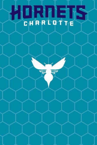 Charlotte Hornets Background Courtesy Of Bringbackthebuzz