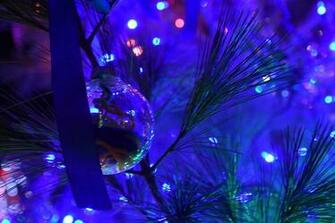 Native Pride Image The Oneida Tree Lighting Indian