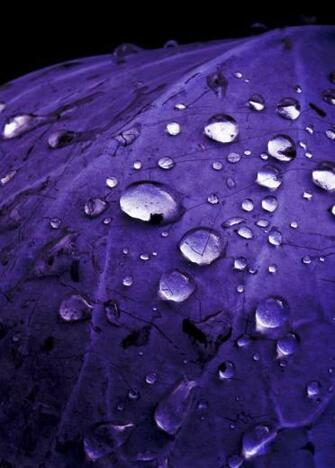 Myxercode Filtered Candels Purple Storm Falling