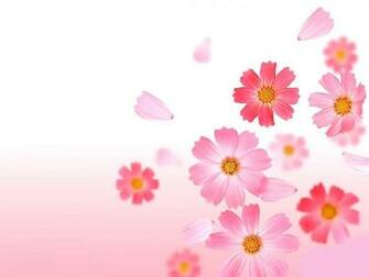 Pink Flowers Wallpaper