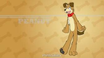 Housepets Image Peanut Wallpaper