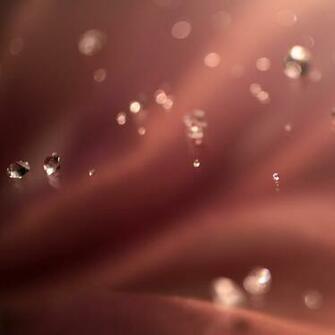 Brown Abstract iPad Wallpaper Background Best