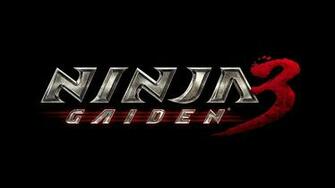 Ninja Gaiden Wallpaper In HD