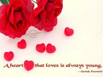 Funny Love Quotes Wallpaper