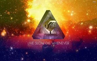 Sloth Wallpaper