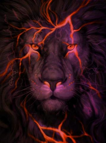 Riothechristainshaman On Lion Tigers Things Art