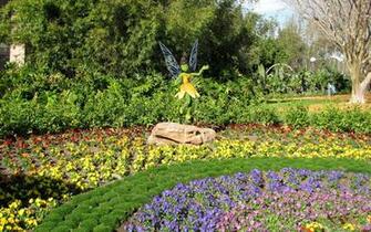 Disney Wallpaper Epcot