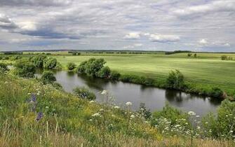 Amazing Stream Field Trees Wallpaper