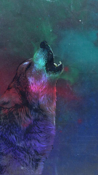Anger Management Paul Lahote Chapter Wolf Wallpaper