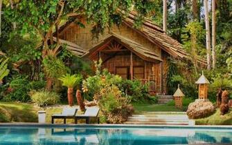 Top Most Beautiful Forest House Marvelous Homes