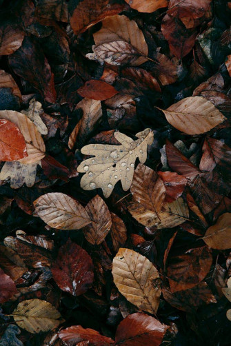 Top Dark Brown Aesthetic Wallpaper Full HD 4k To Use
