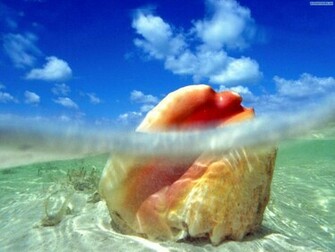 Wallpaper Online Best Collection Of Ocean Ever