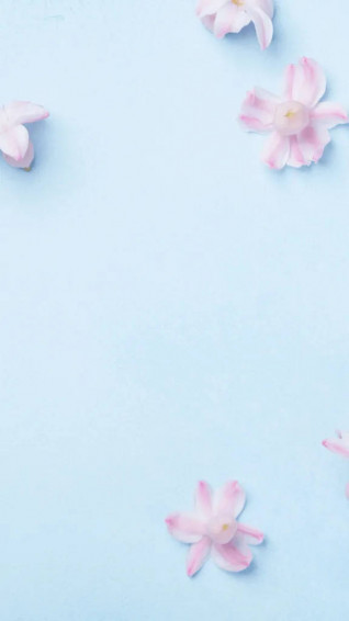 Top Cute Blue Phone Wallpaper Full HD 4k To Use