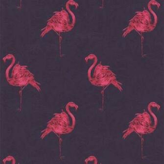 Contour Flamingo Wallpaper From Wilkinson Statement