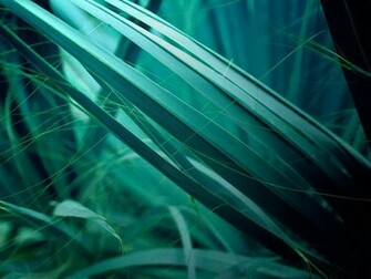 Spring Desktop Wallpaper Amazing Collection