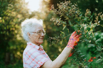 Elderly Image Wallpaper