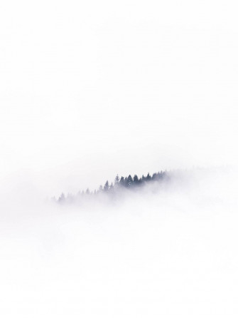 Top White Aesthetic iPhone Wallpaper Full HD 4k To Use