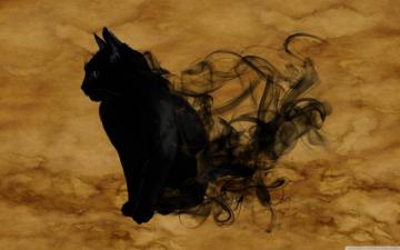 Halloween Black Cat Ultra HD Desktop Background Wallpaper For 4k