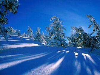 Winter Scene Christmas Wallpaper