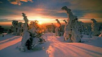 Wallpaper Saxony National Snow Covered Trees