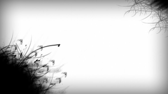 Black And White Wallpaper Abstract