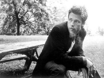 Celebrity Brad Pitt Pictures