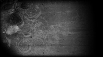 Black Rose Wallpaper HD In Flowers Imageci