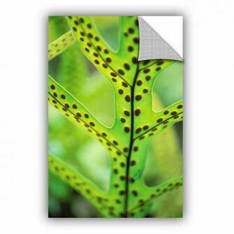 Artwall Artapeelz Hawaiian Laua E Fern By Kathy Yates Photographic