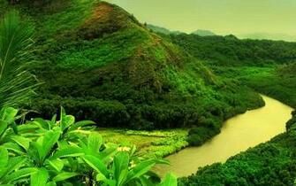 Nature Wallpaper Mountain Stream