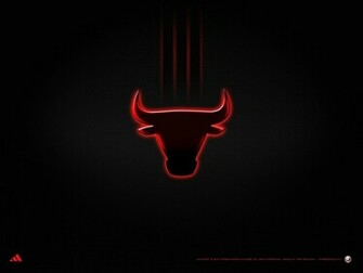 Adidas Bulls Black Brands Logos Picture Chicago HD Wallpaper Jpg