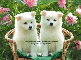 Friendship Wallpaper