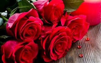 Best Sparkley Rose Desktop Background