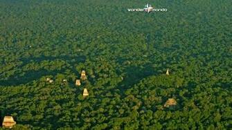 Wallpaper With Ruins Of Tikal Guatemala Wondermondo