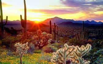 Arizona Wallpaper Top Background